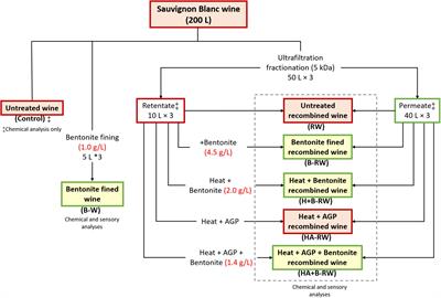 Chemical and Sensory Profiles of Sauvignon Blanc Wine Following Protein Stabilization Using a Combined Ultrafiltration/Heat/Protease Treatment